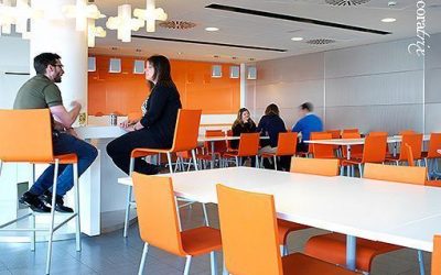 LES EMPRESES ESTAN OBLIGADES A OFERIR UN SERVEI DE MENJADOR?