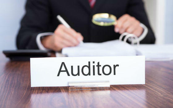 ELS SOCIS MINORITARIS PODEN SOL·LICITAR AL REGISTRADOR QUE NOMENI UN AUDITOR PERQUÈ REVISI ELS COMPTES DE L’EMRPESA?